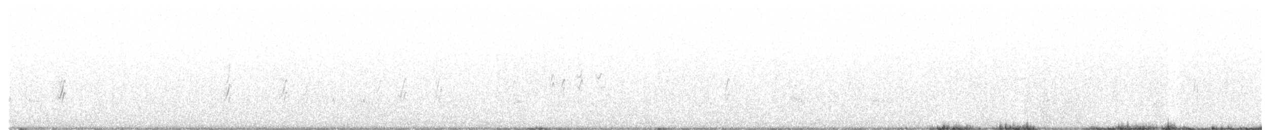 סנונית רפתות - ML335797481