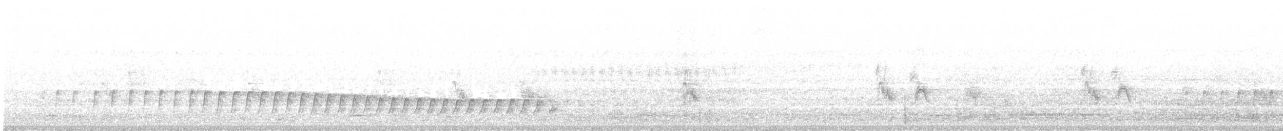 passerine sp. - ML335877361