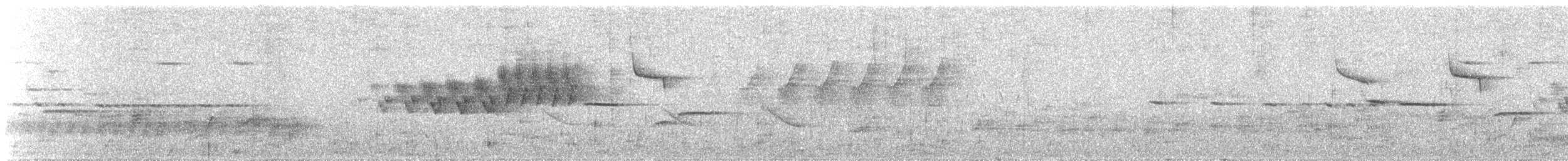 Cerulean Warbler - ML335901171