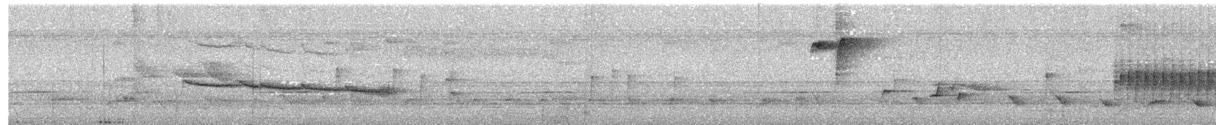 Усатый шелкопёр - ML335921121