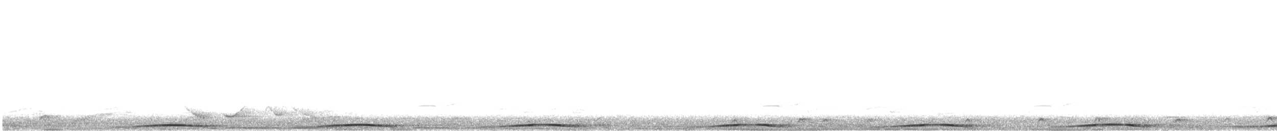 Barred Cuckoo-Dove - ML335923011