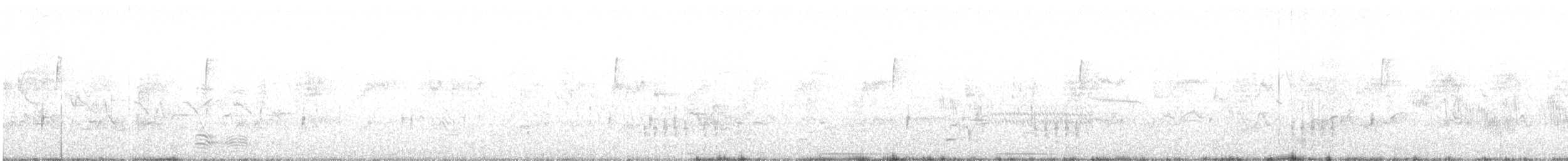 Cuervo Pescador - ML335924721
