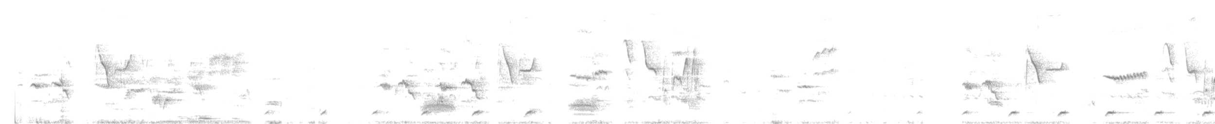 白腹秧雞 - ML335927691