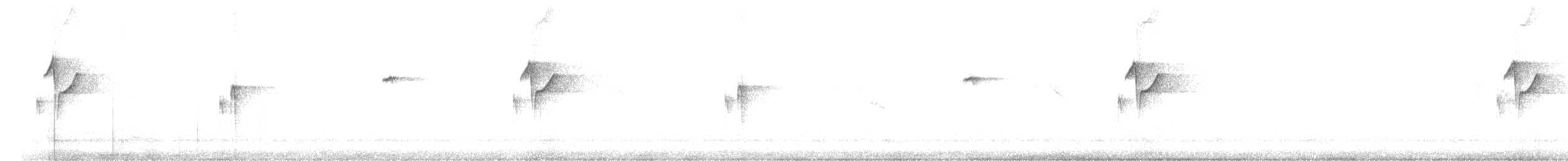 Western Flycatcher (Pacific-slope) - ML335946461