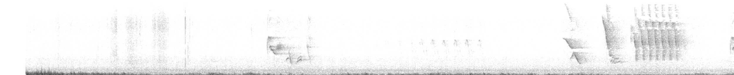 雑種 ホシワキアカトウヒチョウ ｘ クロオビトウヒチョウ - ML335992551