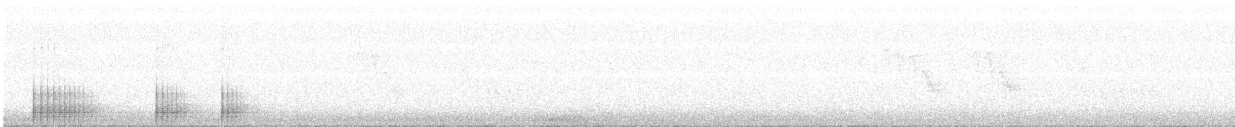 Kiefernsaftlecker - ML336001821