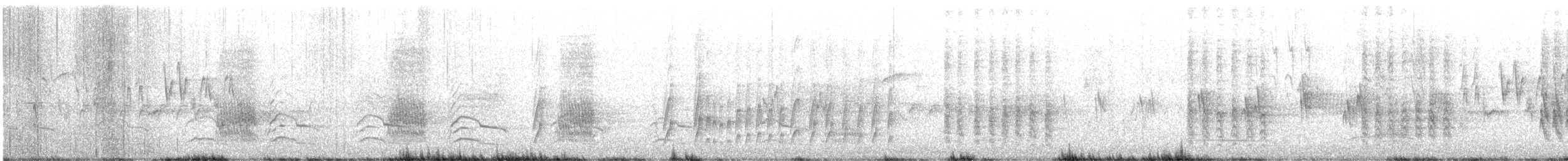 Northern Mockingbird - ML336020741