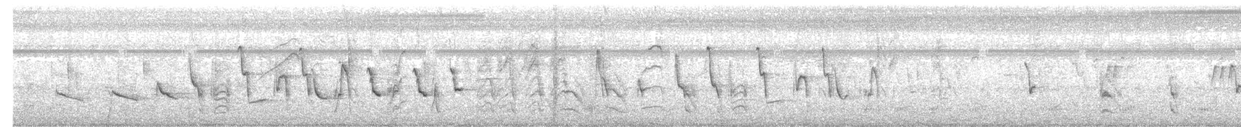 Рисоїд нікарагуанський - ML336037141