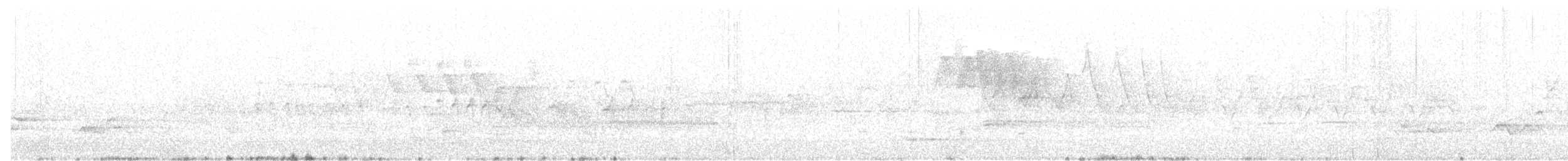 Prairie Warbler - ML336119371