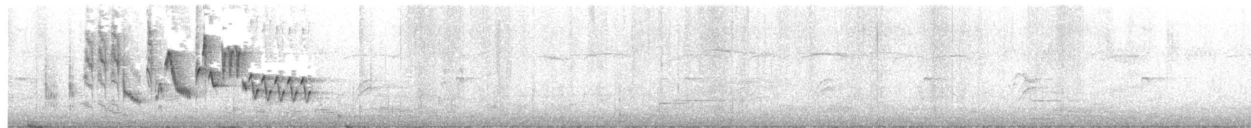 Northern House Wren - ML336161801