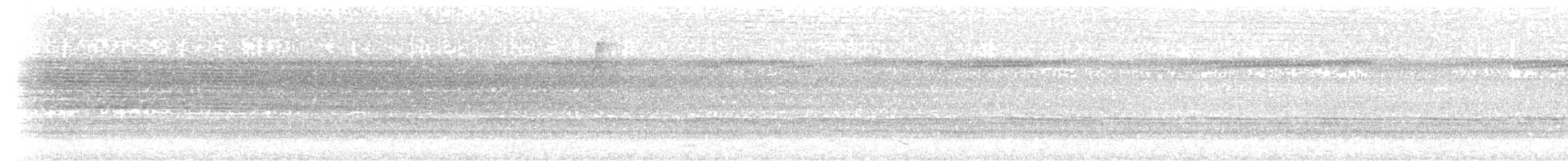 Chestnut-backed Antbird - ML336192221