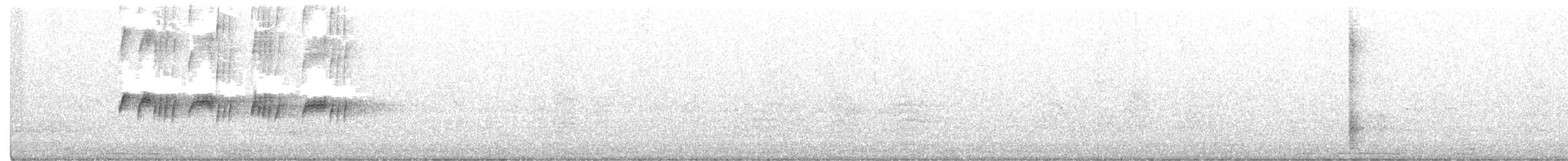 Тиран сірий - ML336196191