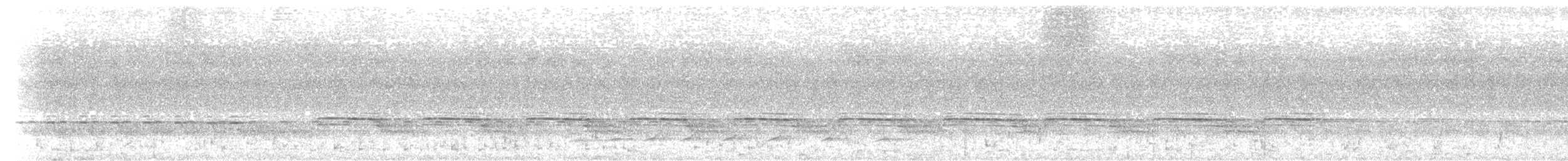 Wing-barred Piprites - ML336199991