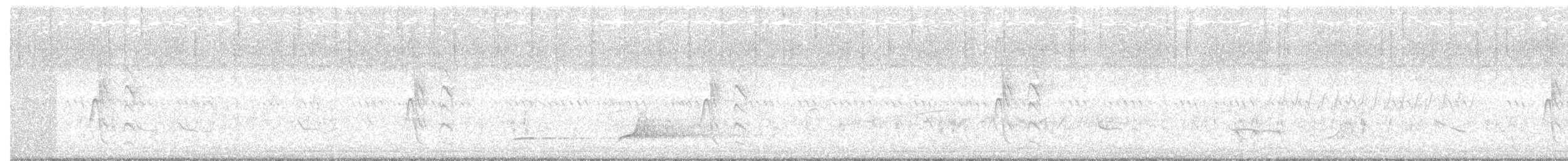 brunhettespettmeis - ML33623101