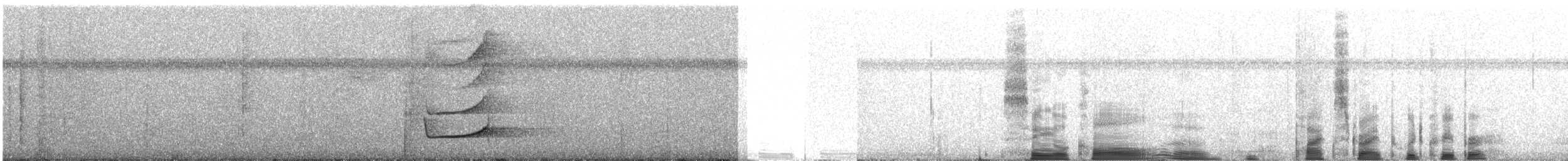 perletreløper - ML336261601