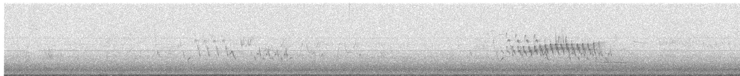 Chaparralgrasmücke - ML336322281
