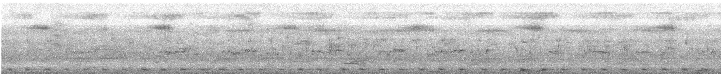 Large-tailed Nightjar - ML336322981