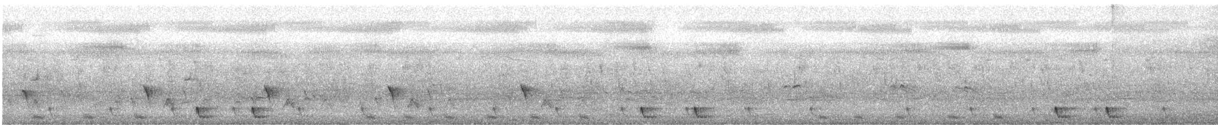 Large-tailed Nightjar - ML336323031