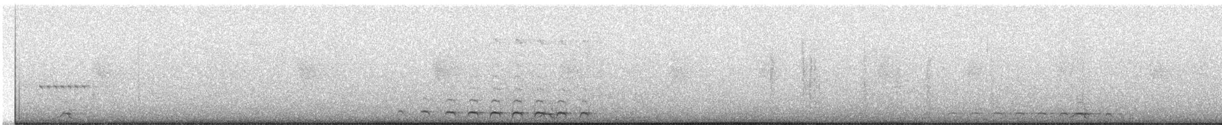 Lattice-tailed Trogon - ML336324731