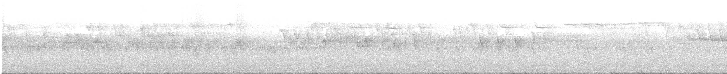 Mokoker arrunta - ML336340101