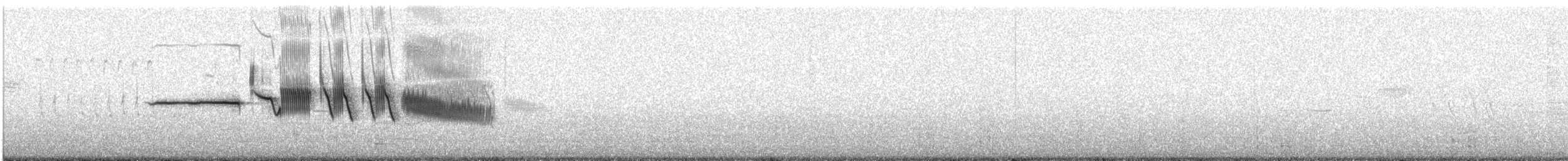 Bruant à couronne blanche (nuttalli) - ML336375541