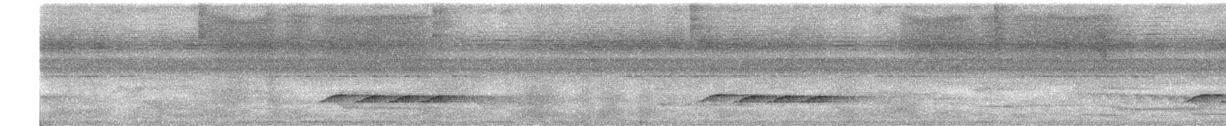 Желтобровый сорокопутовый виреон - ML336383761