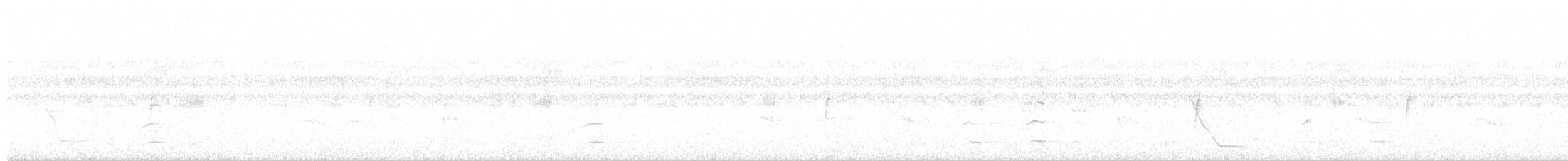 White-throated Toucan - ML33640621