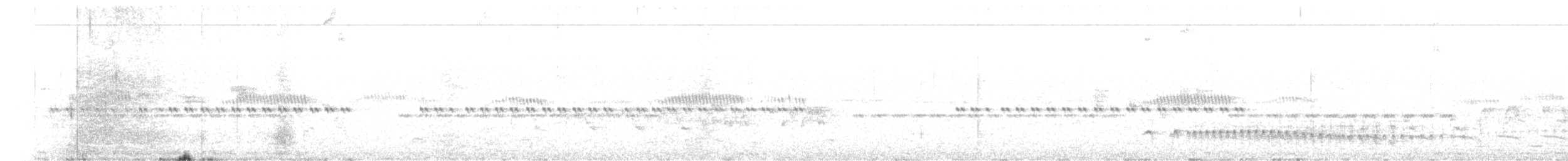 Black-capped Antwren - ML336443871