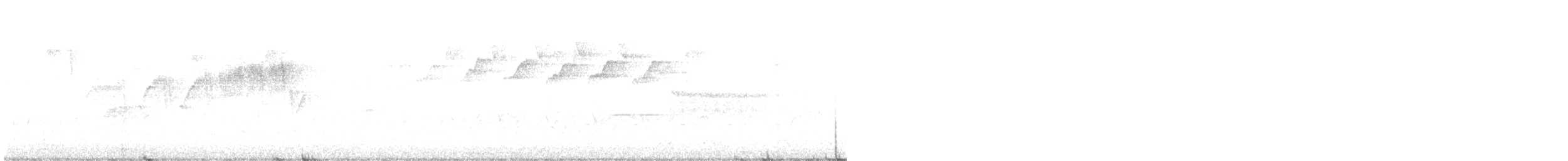 lesňáček černobílý - ML336474081