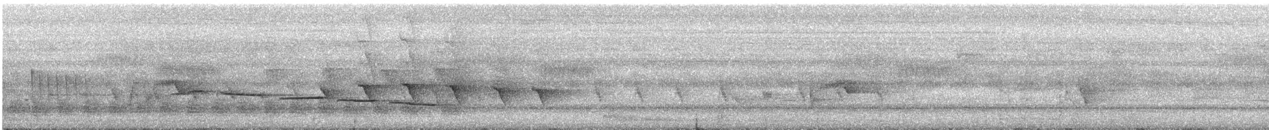 Усатый шелкопёр - ML336482091