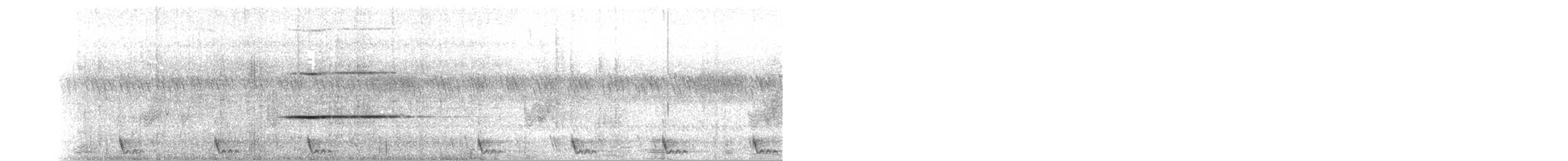 Large-tailed Nightjar - ML336493601