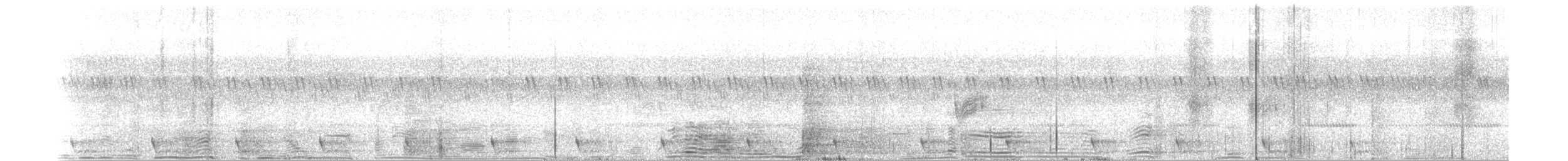 Large-tailed Nightjar - ML336493671