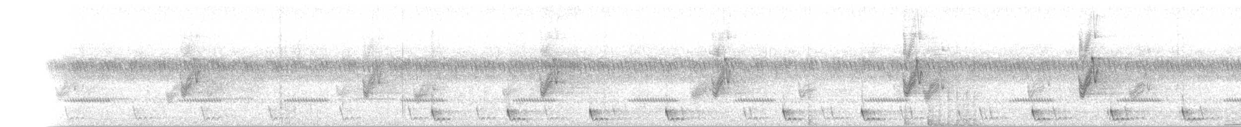 Large-tailed Nightjar - ML336493761