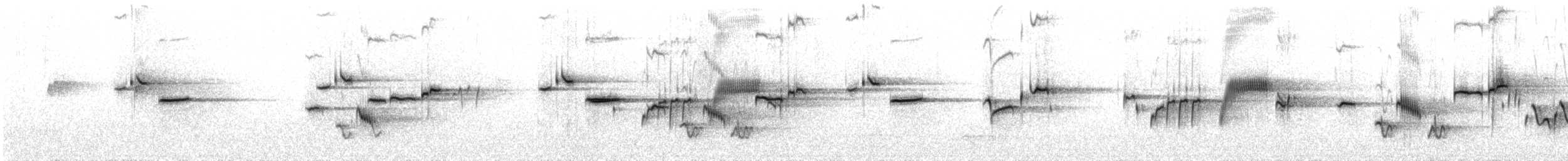 Buztanikara argia - ML33652901