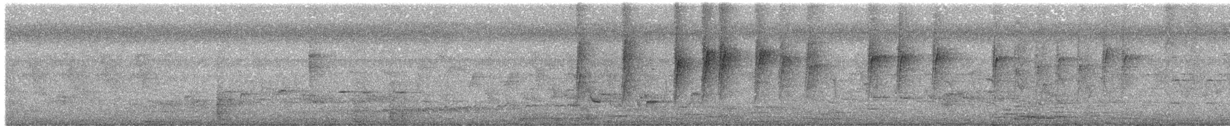 צופית סגולה - ML336578841