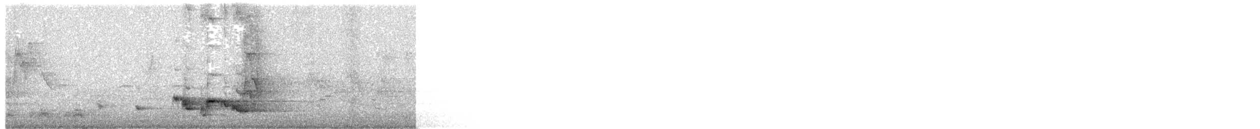 בולבול אדום-שפם - ML336588001