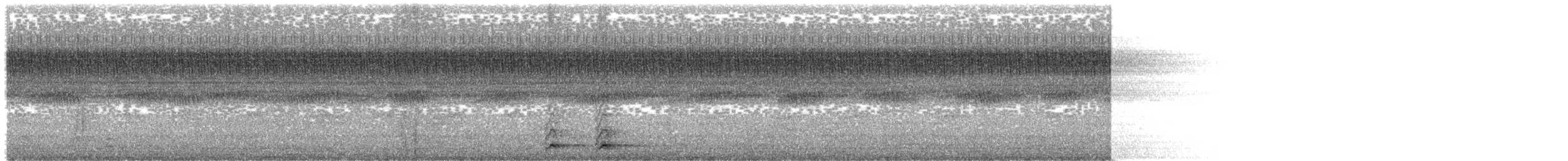 Indian Scops-Owl - ML336600691