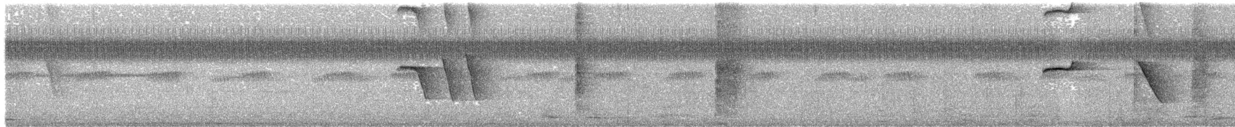 Oriental Magpie-Robin - ML336600991