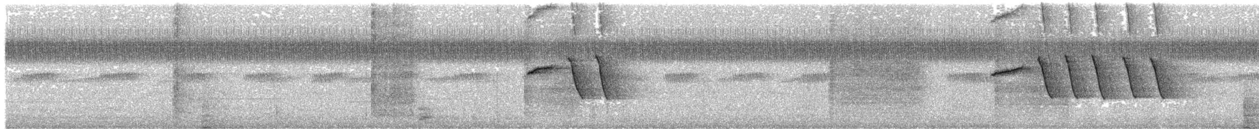 Oriental Magpie-Robin - ML336601091