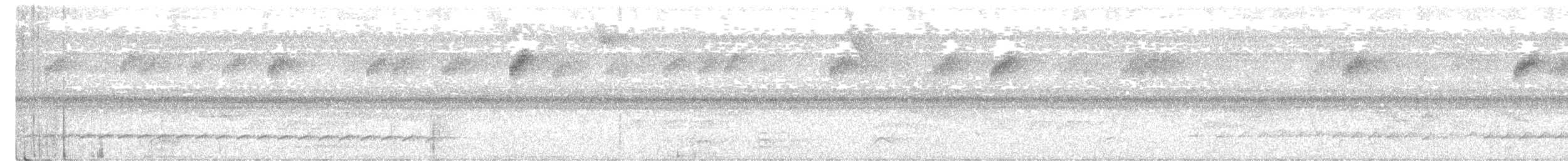 perletreløper - ML336665541