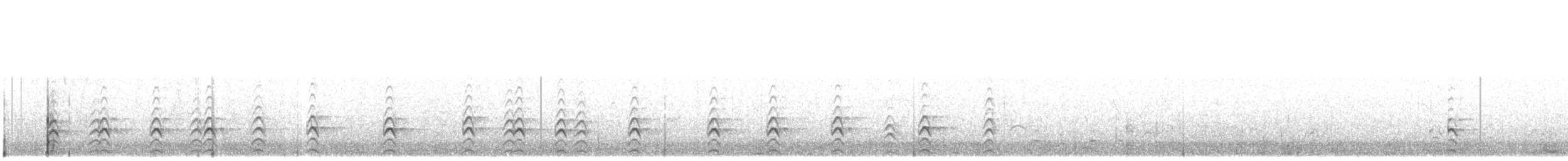 Schwarznacken-Stelzenläufer (melanurus) - ML336719531