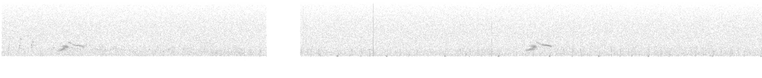 Белокрылая вдовка - ML336726441