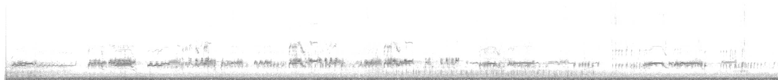 Western Grebe - ML336782491