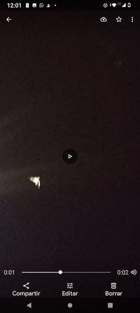 Nacunda Nighthawk - ML336807521