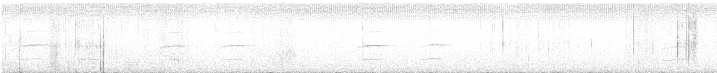 krahujec americký (ssp. chionogaster) - ML336812151