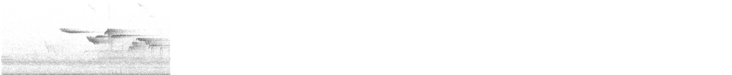 Brown Creeper - ML336872261