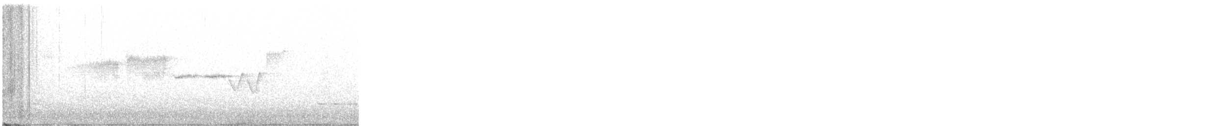 Black-throated Green Warbler - ML336879561