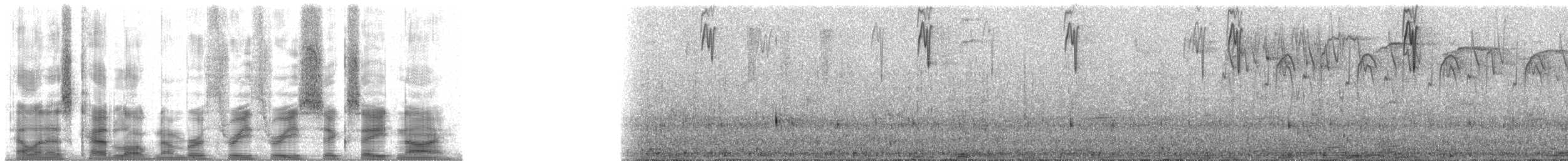 Alev Karınlı Dağ Tangarası (igniventris) - ML33689