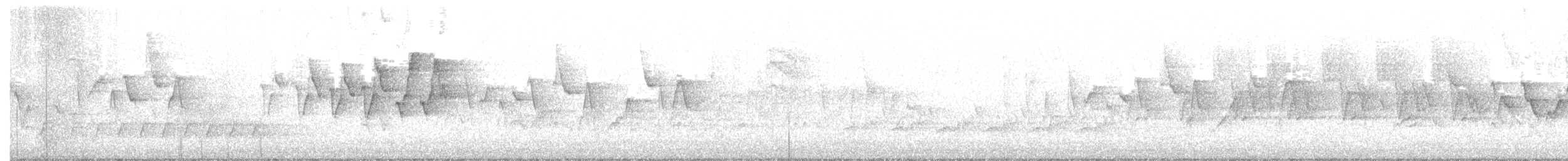 Chestnut-sided Warbler - ML336890881