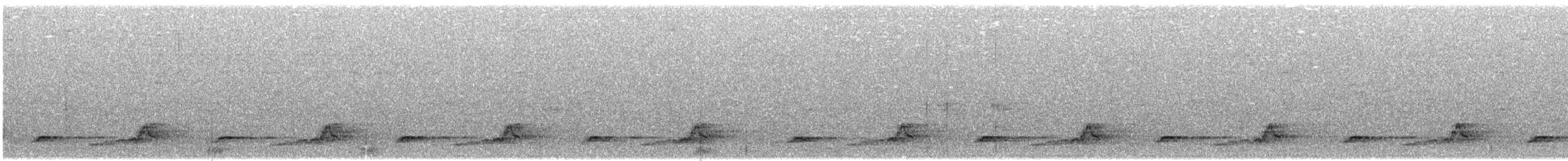 Schwarzkehl-Nachtschwalbe - ML336912431